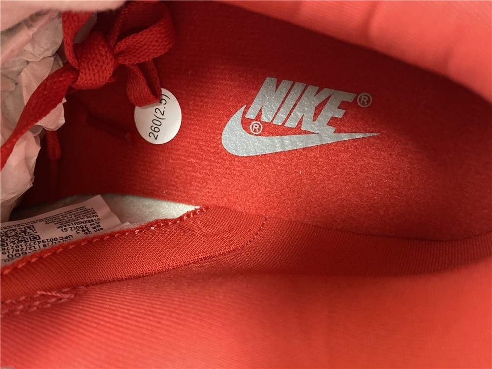 Nike Dunk Low SB CU1726-600