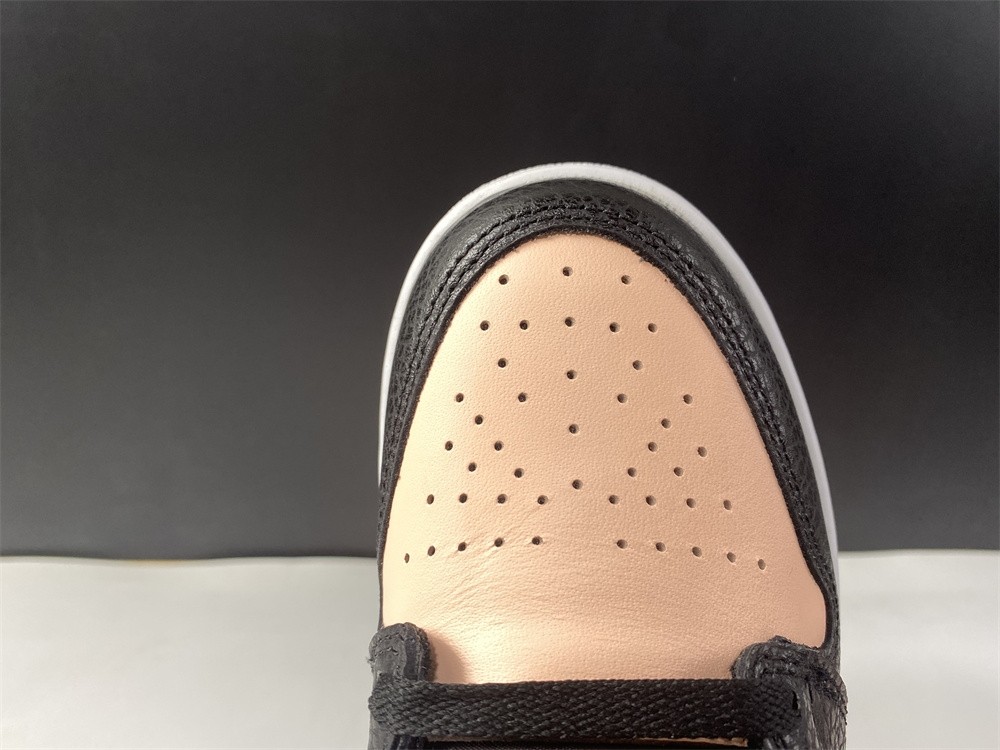 Air Jordan 1 Crimson Tint 555088-081