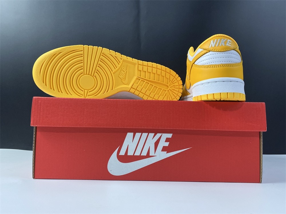 NIKE DUNK LOW DD1503-800
