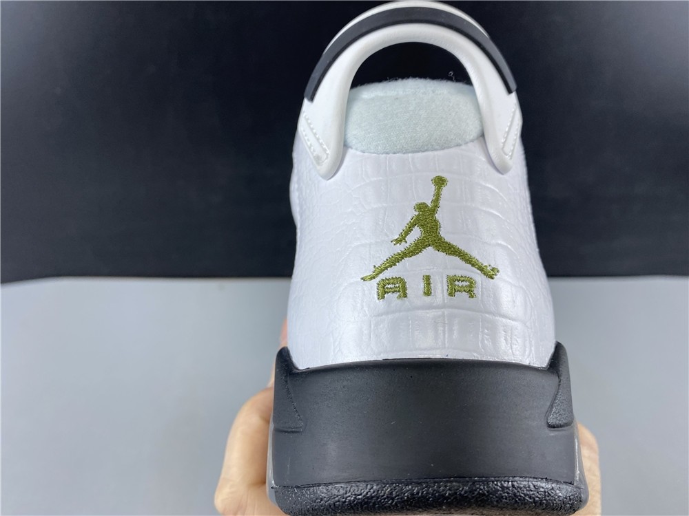 Jordan 6 Retro Alligator (GS) - 384665-110