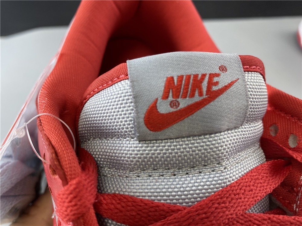 Nike Dunk Low SB CU1726-600