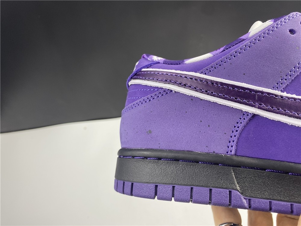 Concepts x NK SB Dunk Low "Purple Lobster" BV1310-555