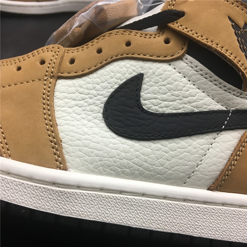 Air Jordan 1 Rookie of the Year 555088-700