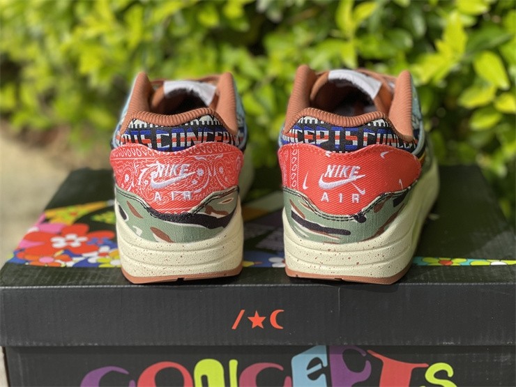Nike Air Max 1 SP Concepts Heavy - DN1803-900