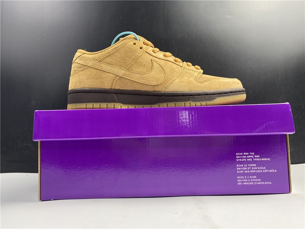 Nike SB Dunk Low Pro BQ6817-204