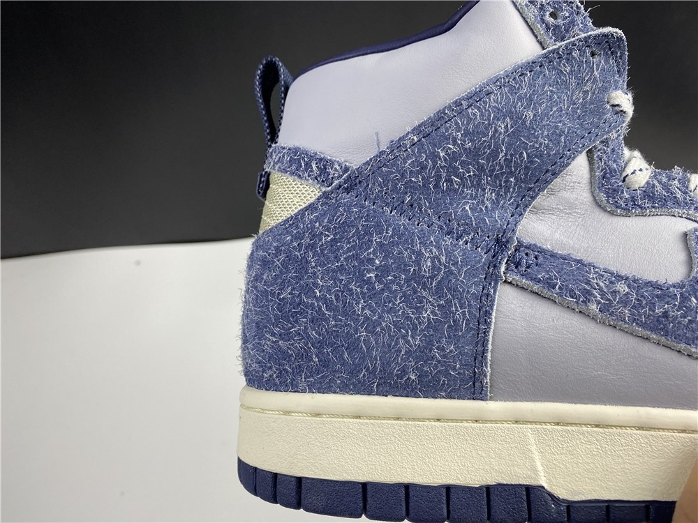 NIKE SB Dunk High CW3092-400