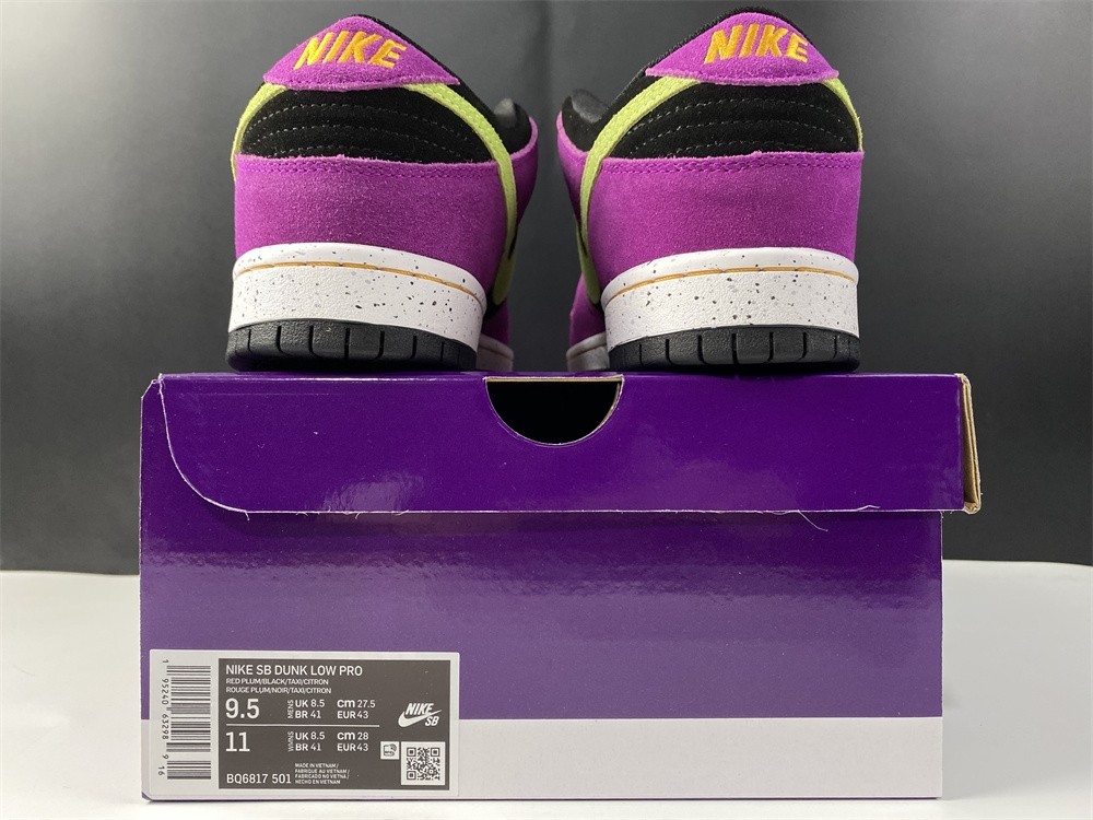 Nike Dunk SB Low SP BQ6817-501