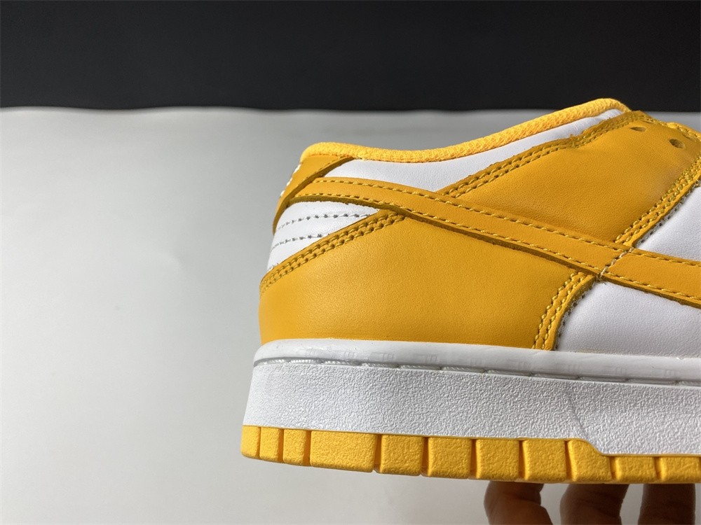 NIKE DUNK LOW DD1503-800