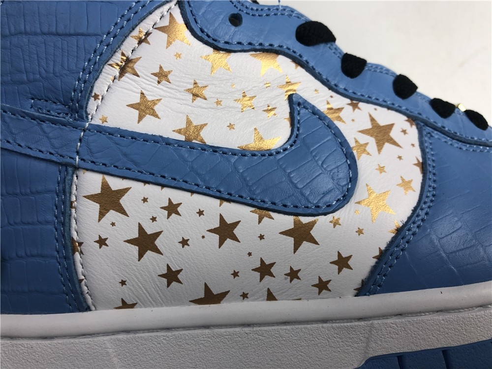 Nike SB DUNK High PRO 307385-141