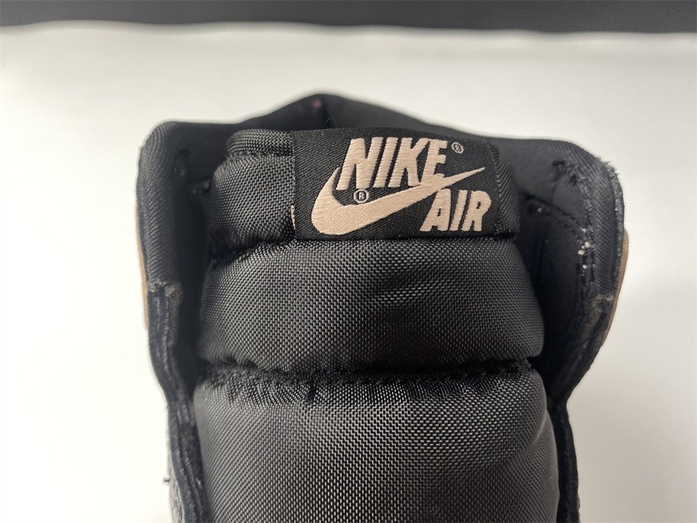 Air Jordan 1 Crimson Tint 555088-081