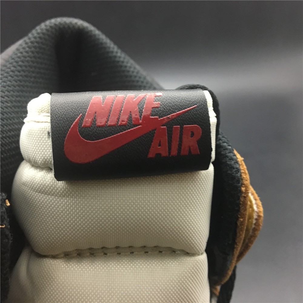 Air Jordan 1 Rookie of the Year 555088-700