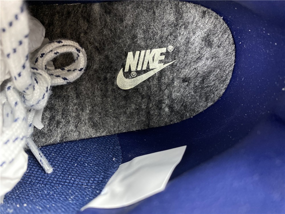 NIKE SB Dunk High CW3092-400