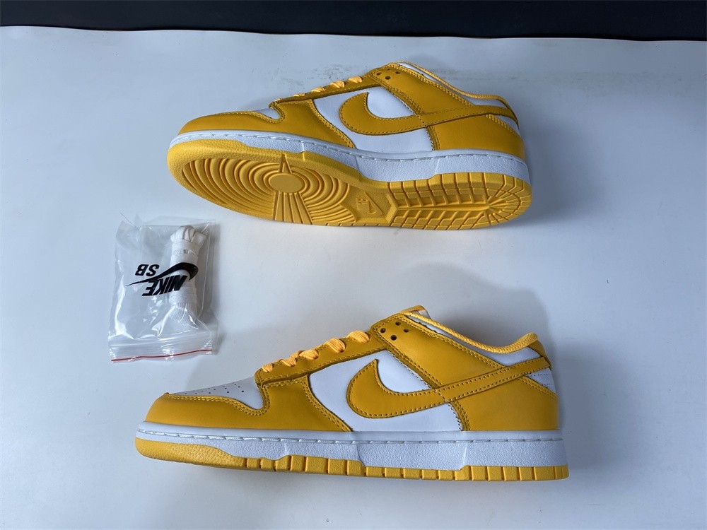 NIKE DUNK LOW DD1503-800