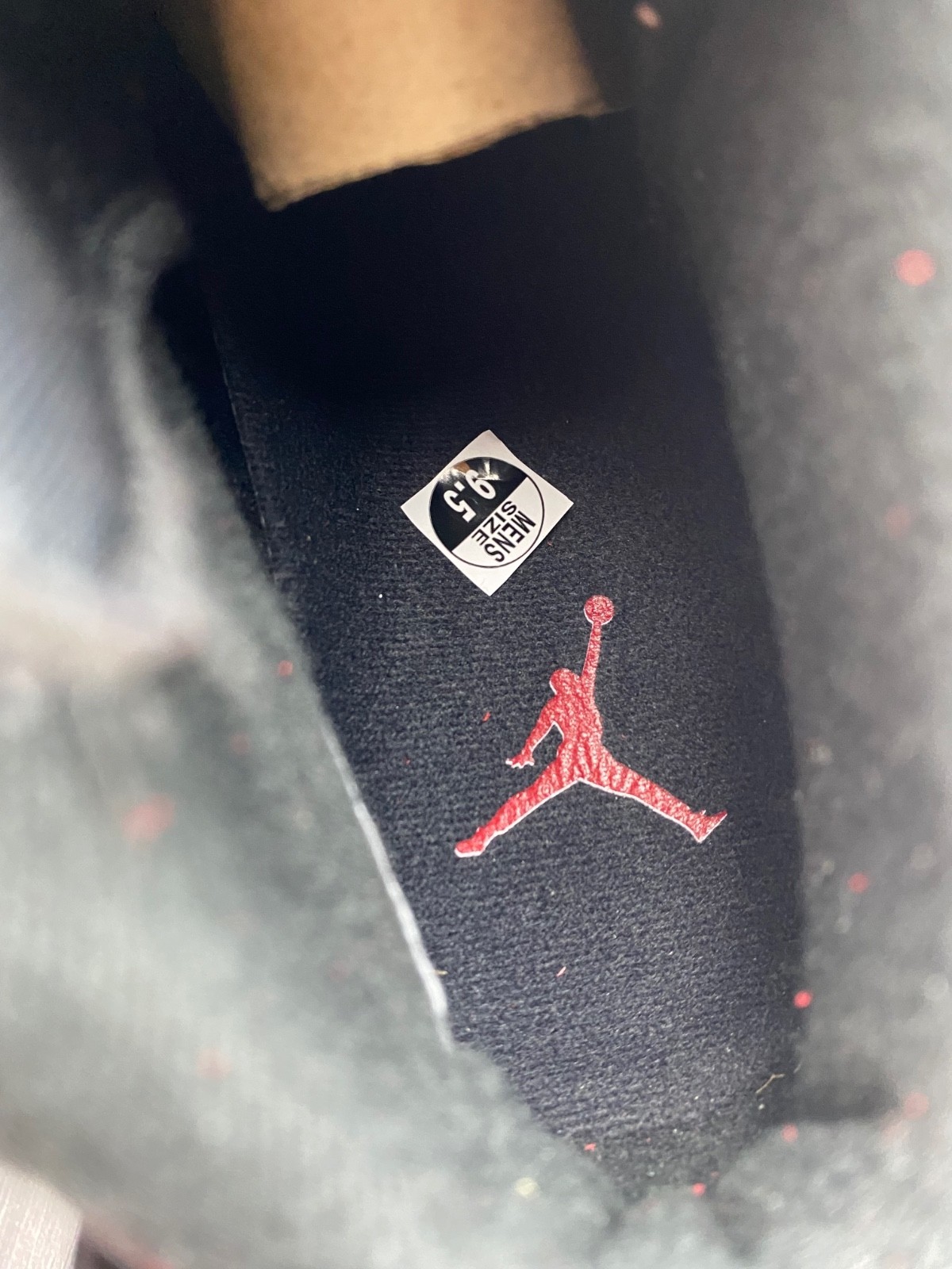 Air Jordan 6 Toro Varsity Red CT8529-600