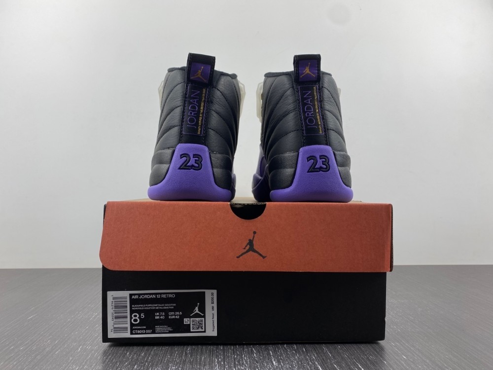 Air Jordan 12 Field Purple CT8013-057