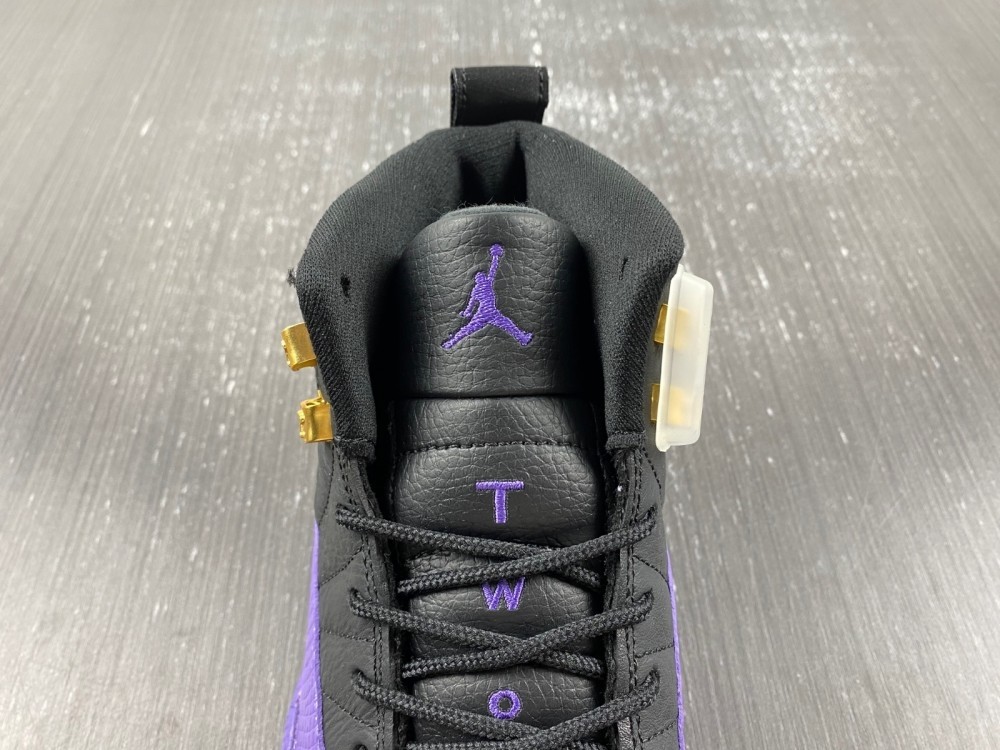 Air Jordan 12 Field Purple CT8013-057