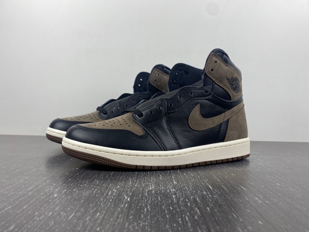 Air Jordan 1 Retro High OG "Palomino" DZ5485-020