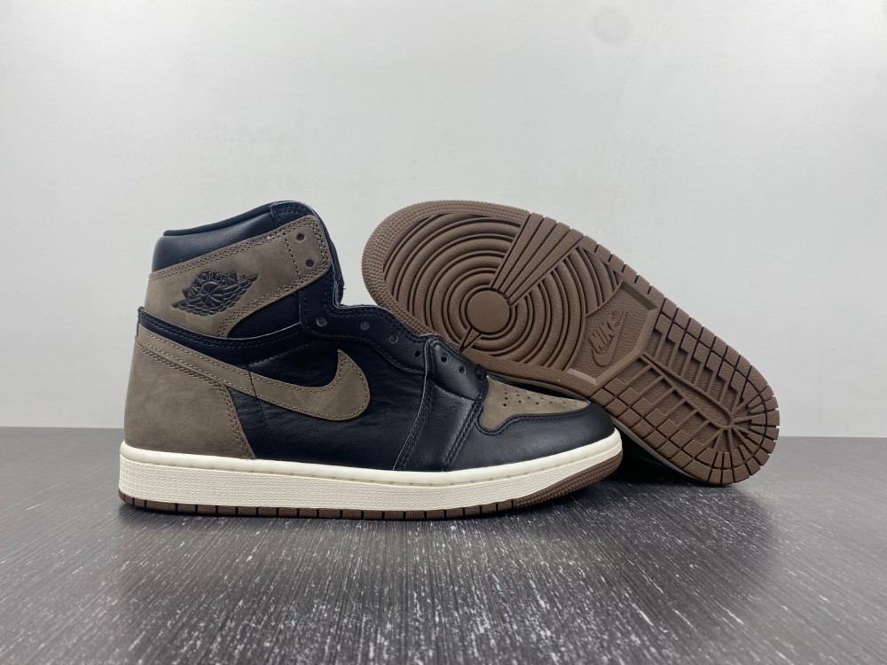 Air Jordan 1 Retro High OG "Palomino" DZ5485-020