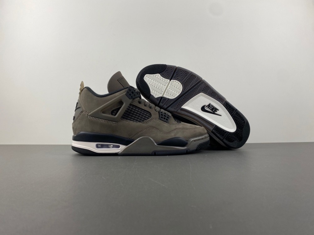 Air Jordan 4 Retro Cave Stone/Black/Moon Particle FV5029-200