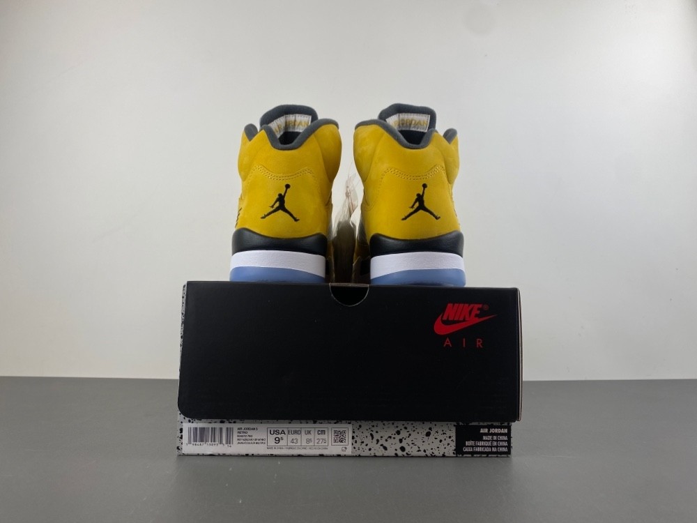 Air Jordan 5 Retro Tokyo T23 IO3372-700