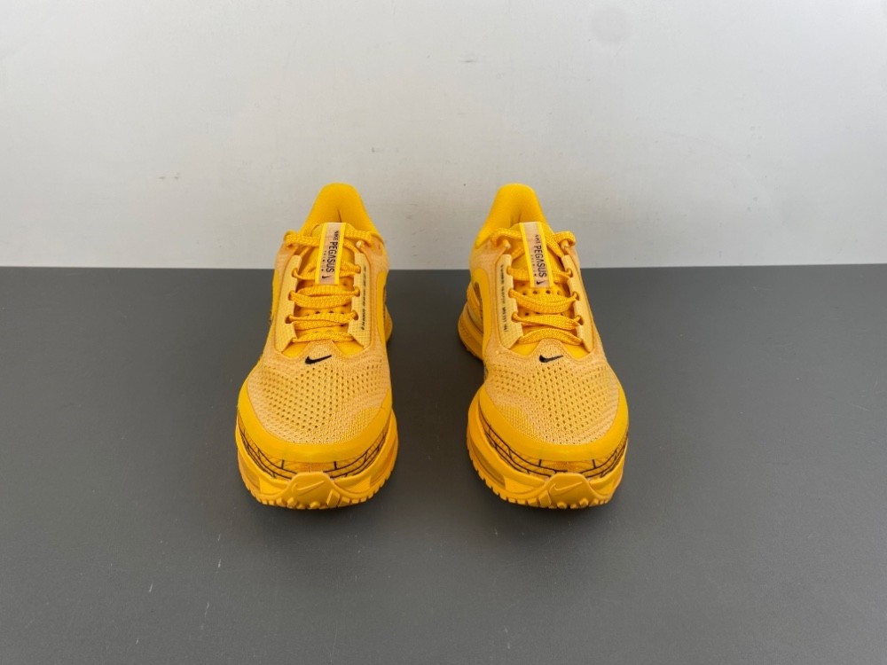 Nike Pegasus Premium 