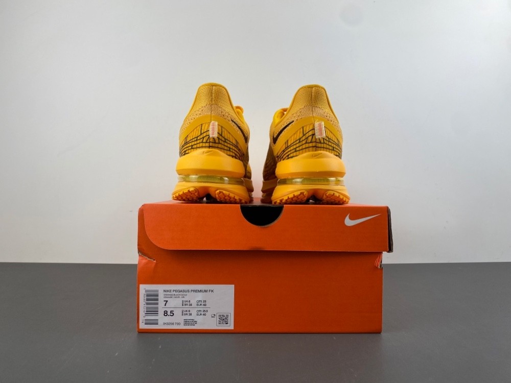 Nike Pegasus Premium 