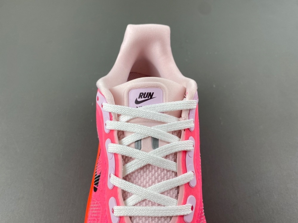 NIKE Pegasus Premium FN8453-061