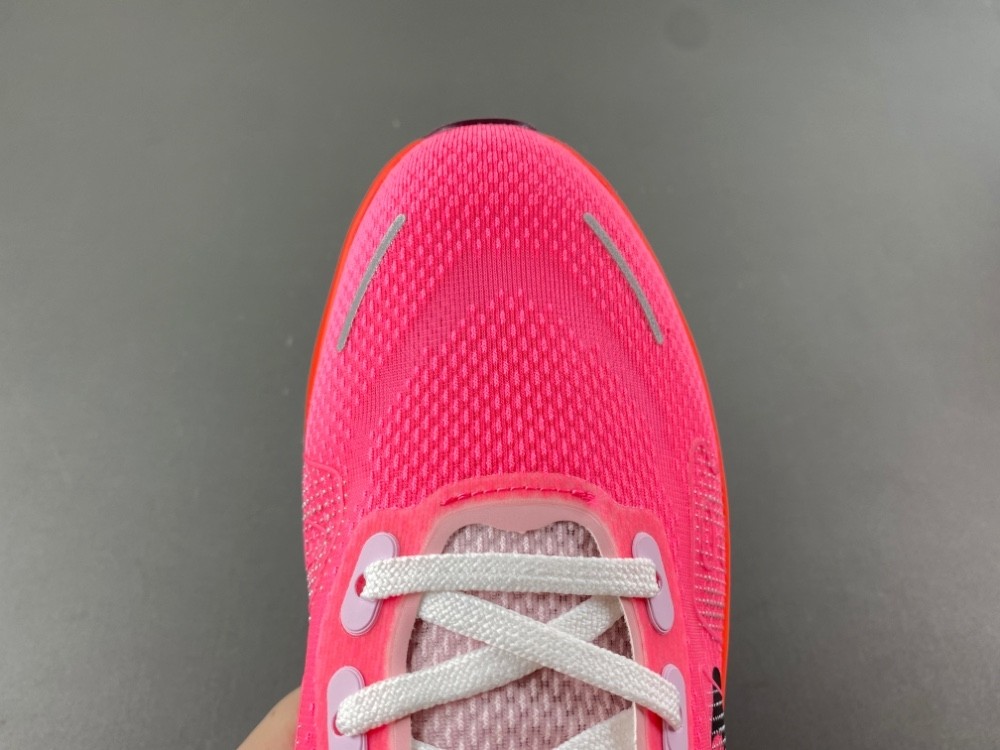 NIKE Pegasus Premium FN8453-061