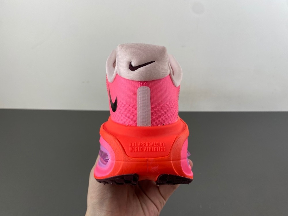 NIKE Pegasus Premium FN8453-061