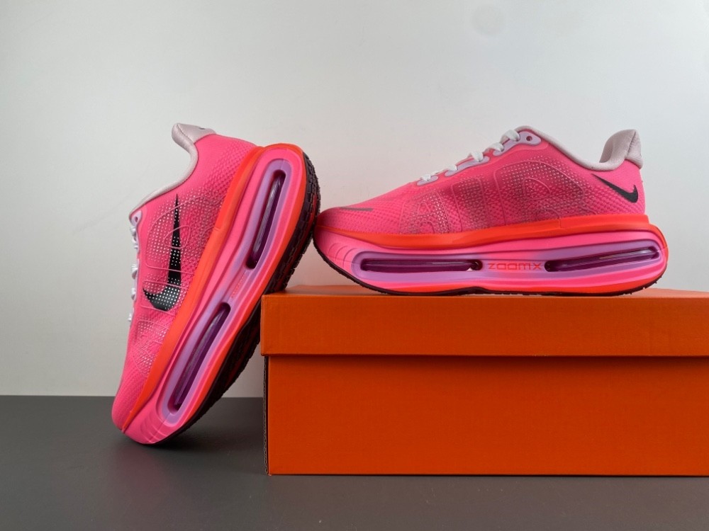 NIKE Pegasus Premium FN8453-061