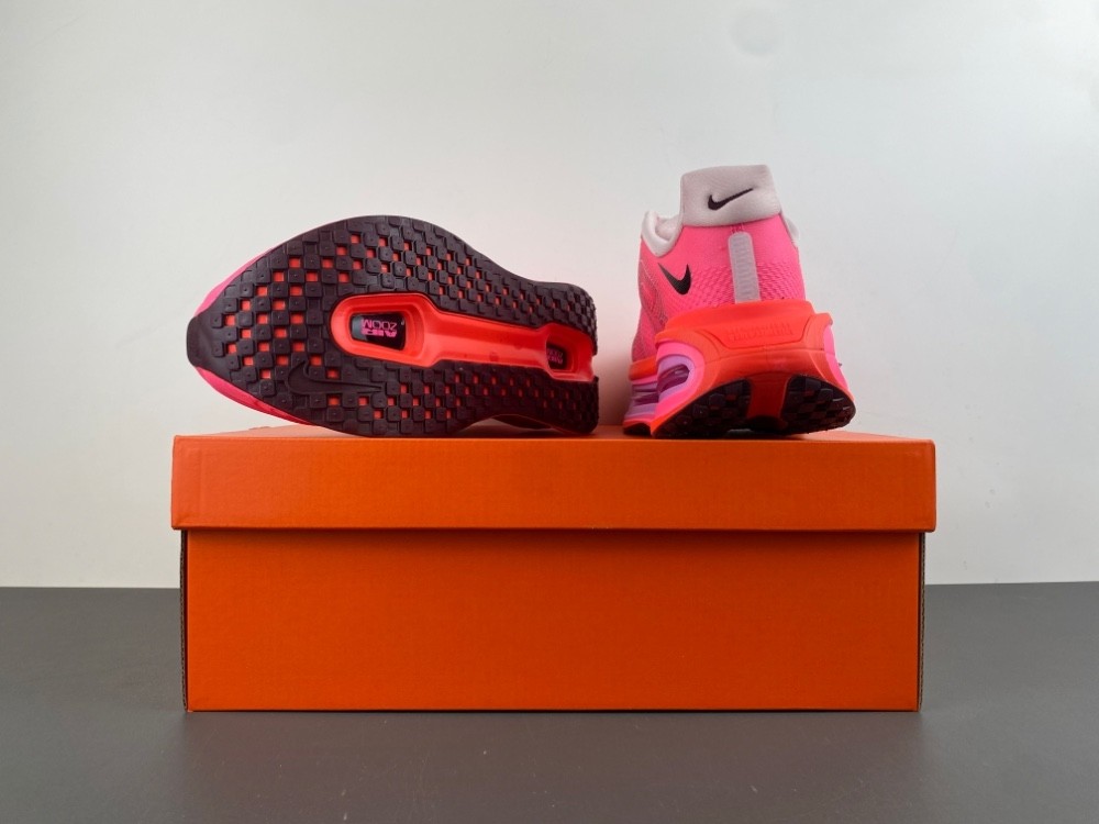 NIKE Pegasus Premium FN8453-061