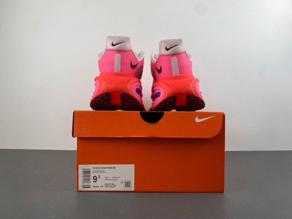 NIKE Pegasus Premium FN8453-061