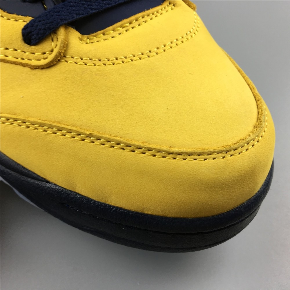 Air Jordan 5 Retro SP