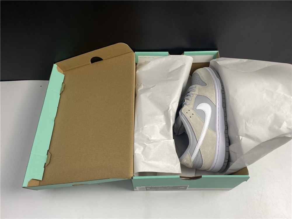 Nike Dunk SB L TRD TOM AR0778-110