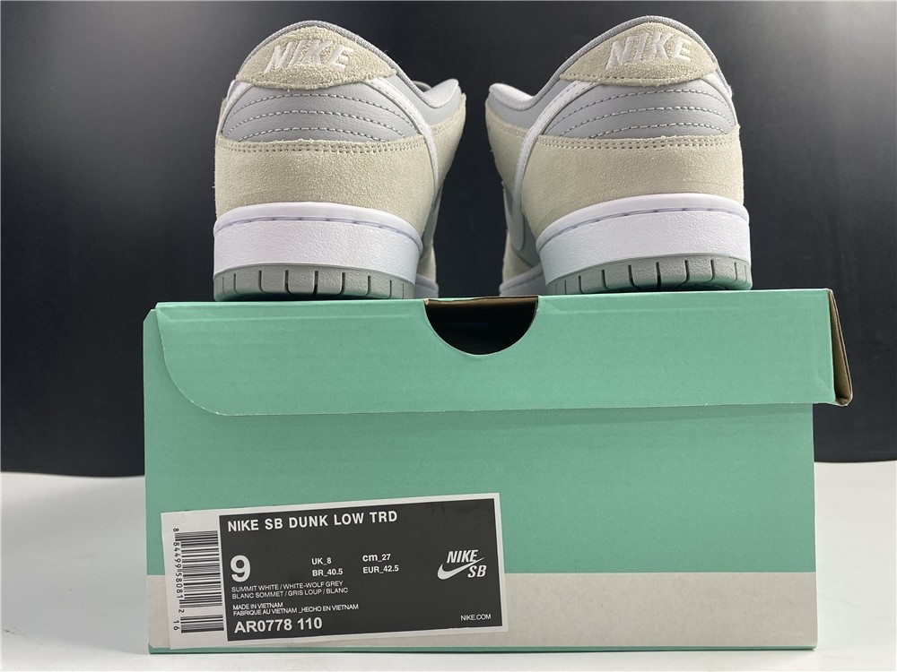 Nike Dunk SB L TRD TOM AR0778-110