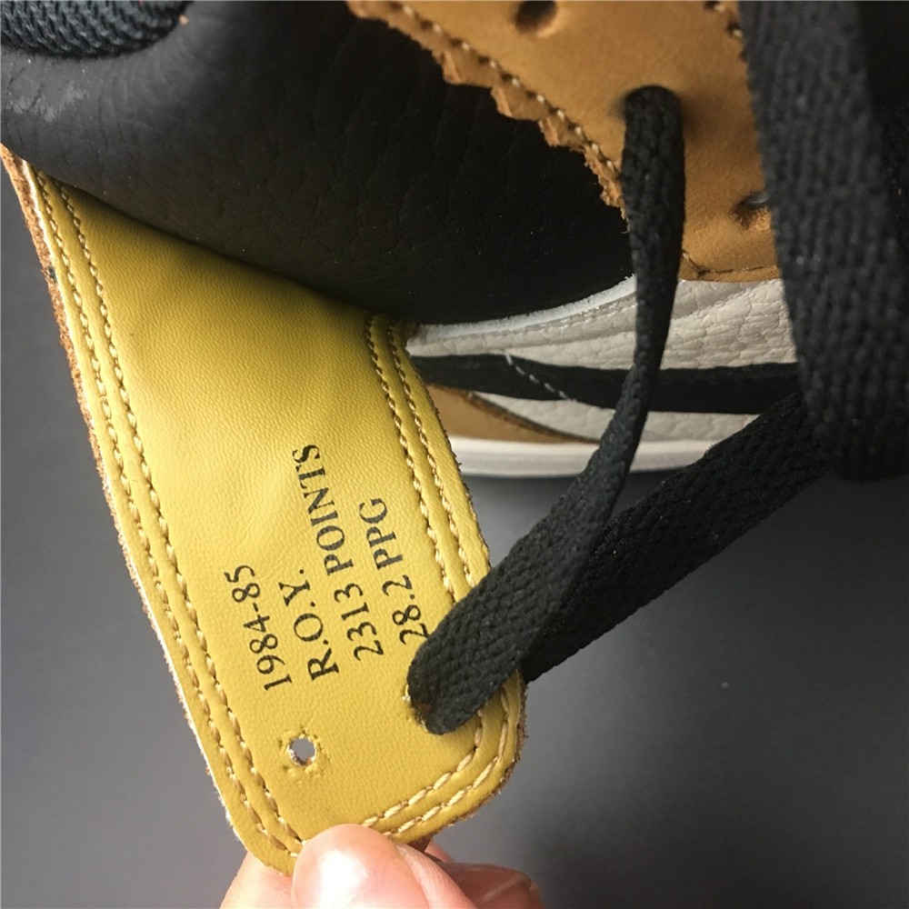 Air Jordan 1 Rookie of the Year 555088-700