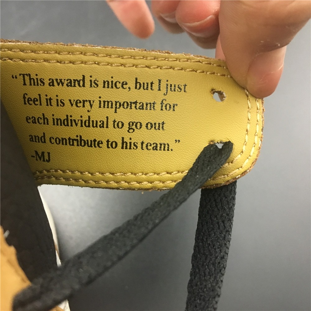 Air Jordan 1 Rookie of the Year 555088-700