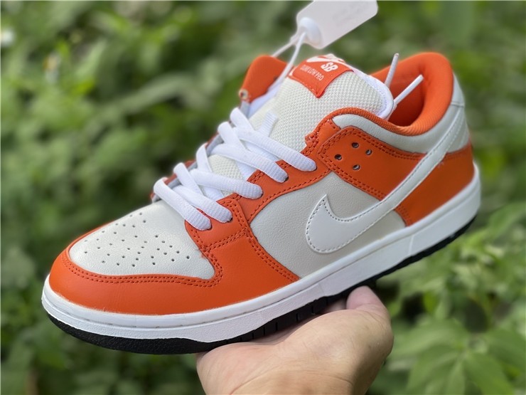 NIKE DUNK LOW DQ6817-806