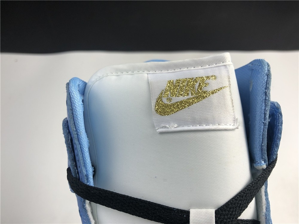 Nike SB DUNK High PRO 307385-141