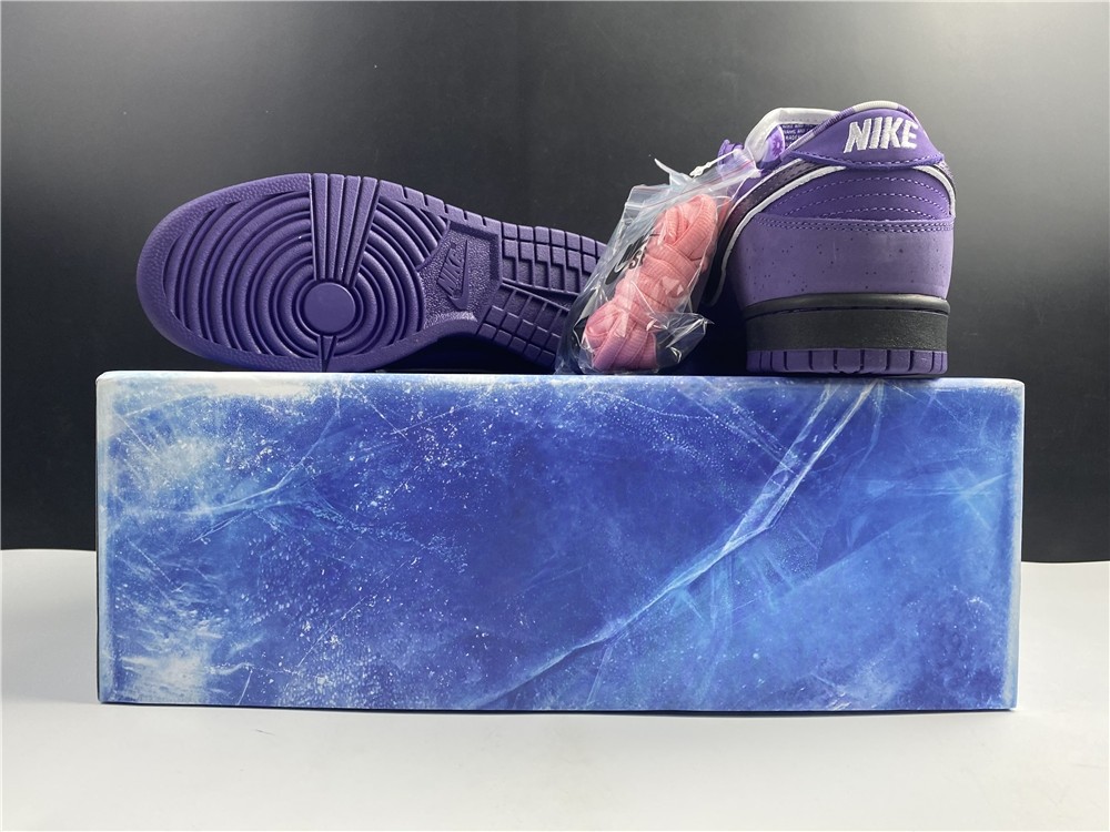 Concepts x NK SB Dunk Low "Purple Lobster" BV1310-555