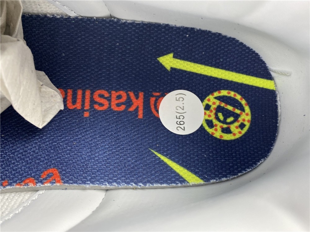 Kasina x Nike Dunk Low CZ6501-100