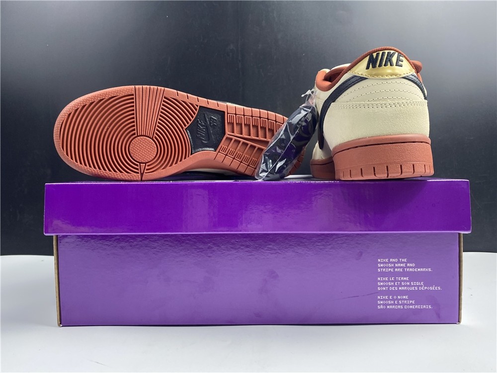 Nike SB Dunk Low  BQ6817-100
