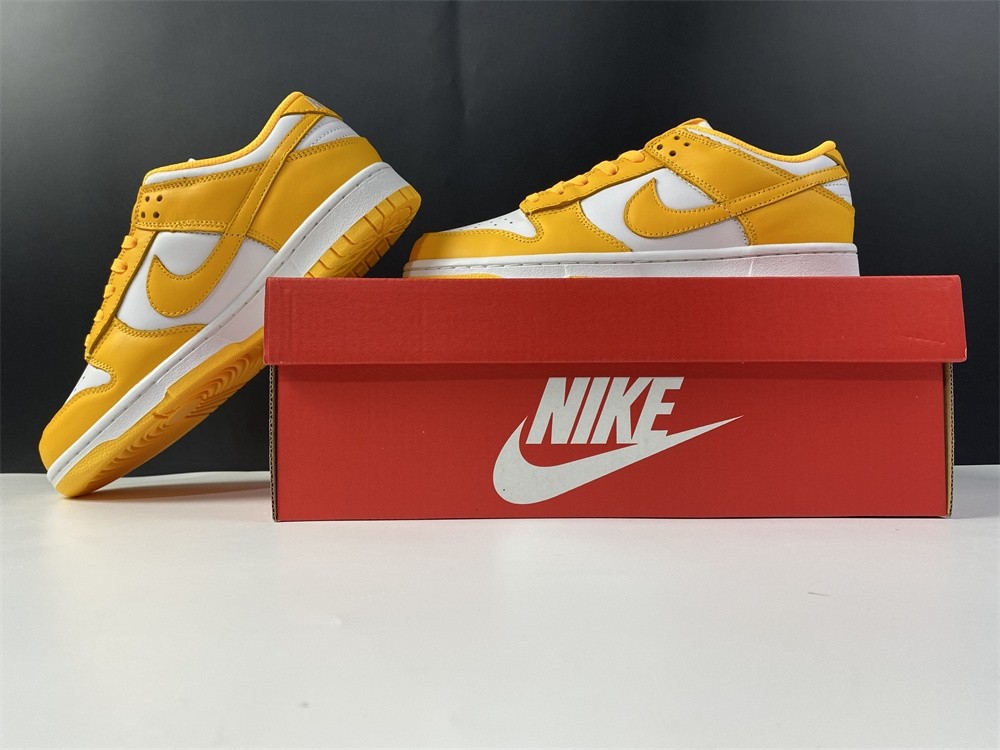 NIKE DUNK LOW DD1503-800