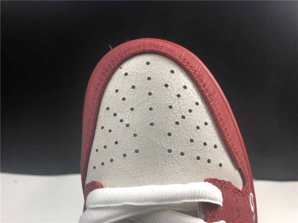 Nike dunk sb low Roller Derby 313170-601